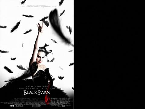 http://wallpapers.brothersoft.com/black-swan-44297.html